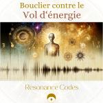 BOUCLIER CONTRE LE VOL D‘ÉNERGIE